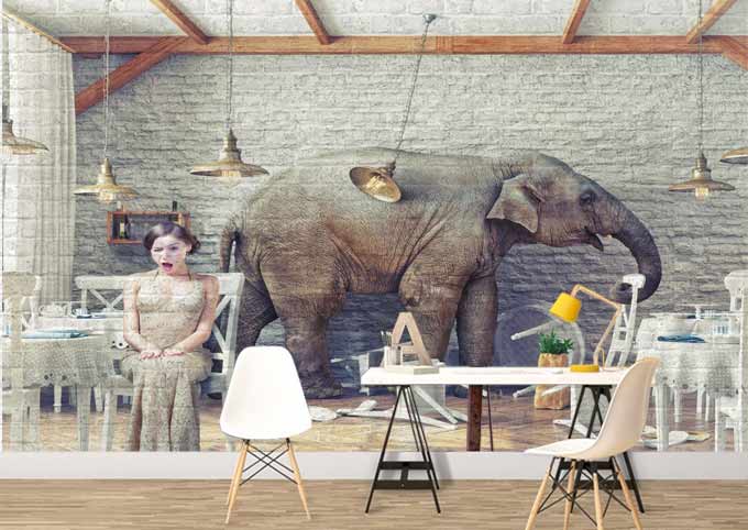 Resimli Panel Fil Resimli Panel Fil