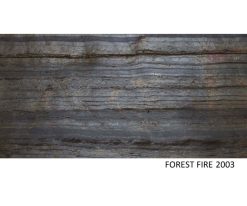İnce Doğal Taş 2003 Forest Fire