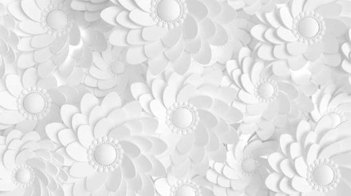 Beyaz Güller 3d Duvar Kağıdı